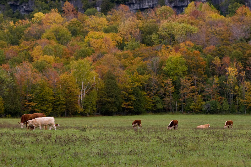 ISO 100; 1/60 sec at f / 5.6; 70 mm by 24.0-70.0 mm