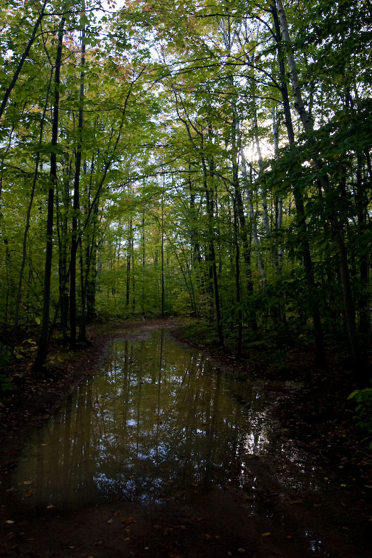 ISO 200; 1/50 sec at f / 5.0; 17 mm by 10.0-22.0 mm