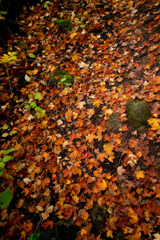 ISO 200; 1/20 sec at f / 4.0; 16 mm by 10.0-22.0 mm