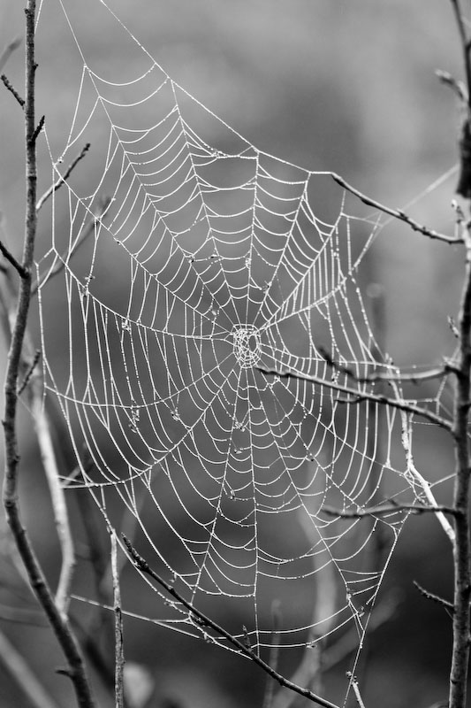 ISO 100; 1/100 sec at f / 3.2; 100 mm by 100.0 mm