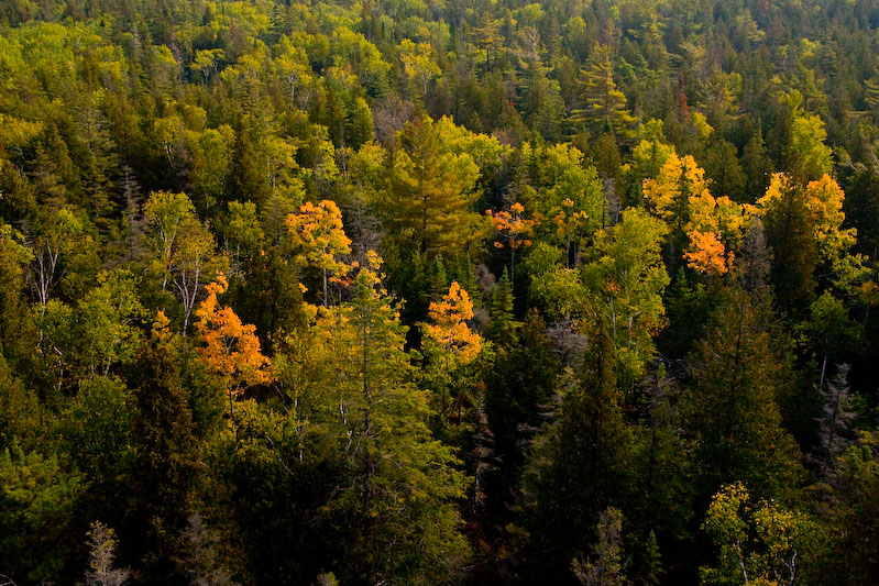 ISO 100; 1/200 sec at f / 8.0; 22 mm by 10.0-22.0 mm