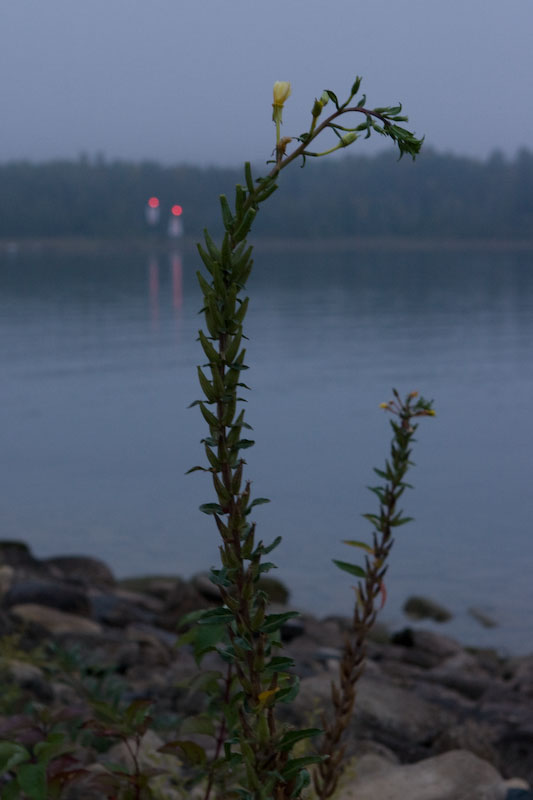 ISO 400; 1/30 sec at f / 6.3; 60 mm by 24.0-70.0 mm