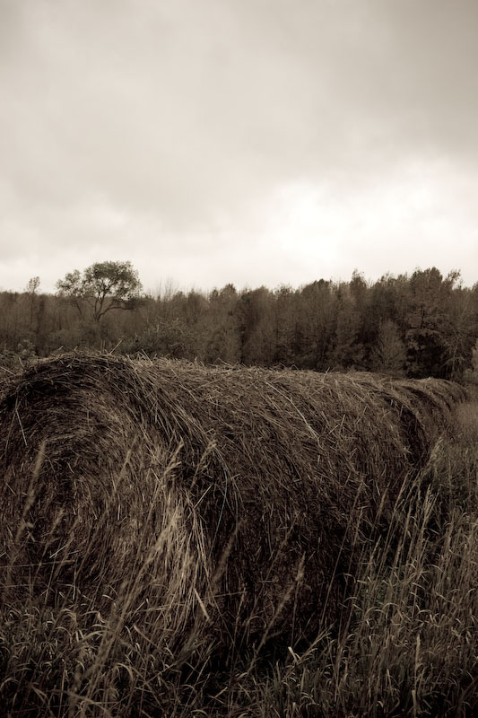 ISO 100; 1/60 sec at f / 9.0; 40 mm by 24.0-70.0 mm