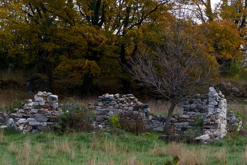 ISO 100; 1/100 sec at f / 8.0; 70 mm by 24.0-70.0 mm