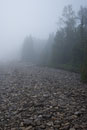 ISO 100; 1/250 sec at f / 5.6; 22 mm by 10.0-22.0 mm
