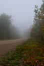 ISO 100; 1/200 sec at f / 10; 24 mm by 24.0-70.0 mm