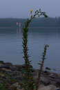 ISO 400; 1/30 sec at f / 6.3; 60 mm by 24.0-70.0 mm