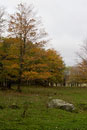 ISO 100; 1/250 sec at f / 6.3; 48 mm by 24.0-70.0 mm