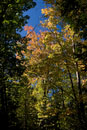 ISO 100; 1/60 sec at f / 6.3; 35 mm by 24.0-70.0 mm