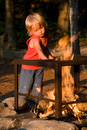 ISO 200; 1/100 sec at f / 5.6; 70 mm by 24.0-70.0 mm