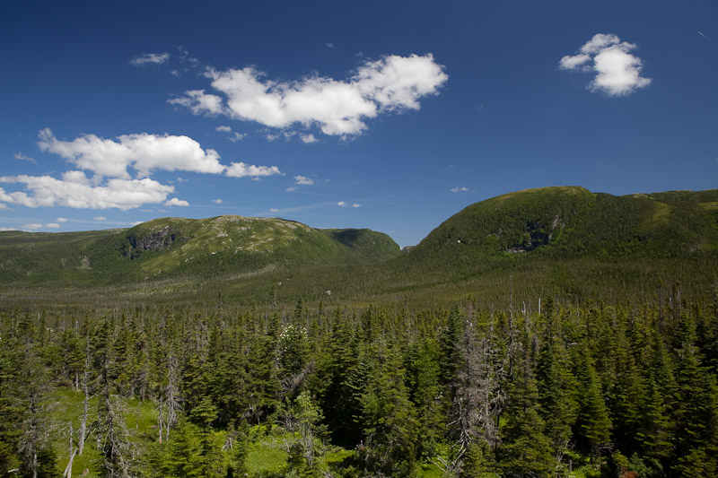 Gros Morne Natinal Park <br/><i></i>