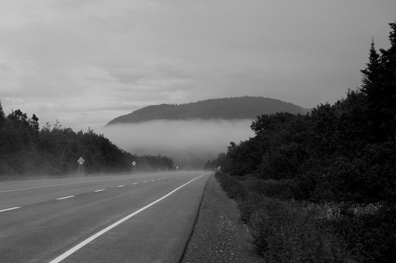 Дорога в тумане <br/><i>... и даже встречных машин нет</i>