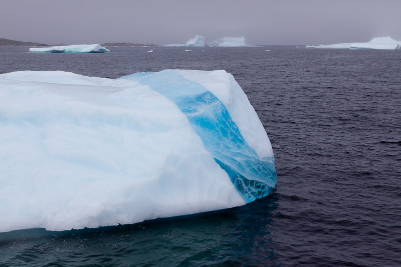 Смотрим айсберги в Twillingate <br/><i></i>
